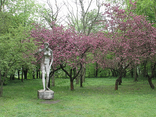 park zamkowy