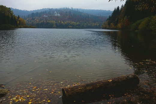 Jesie nad Jeziorem Czerniaskim