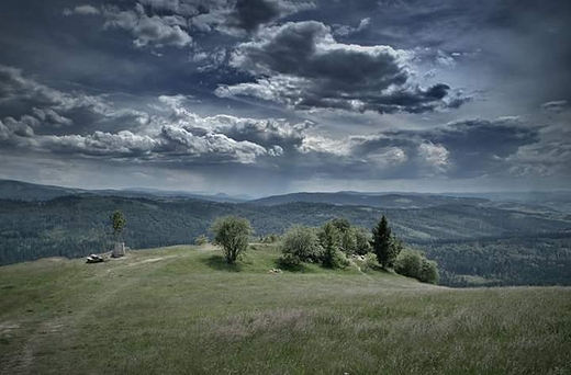 Ochodzita