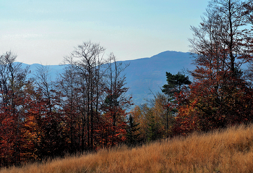 Beskid May. W drodze na Czupel-930 m.