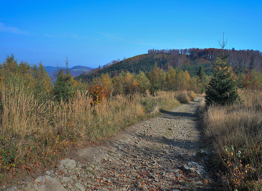 Beskid May. W drodze na Czupel-930 m.