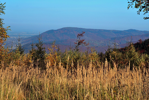 Beskid May. W drodze na Czupel-930 m.