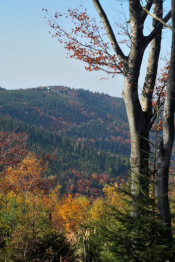 Beskid May jesieni. Widok na Magurk Wilkowick.