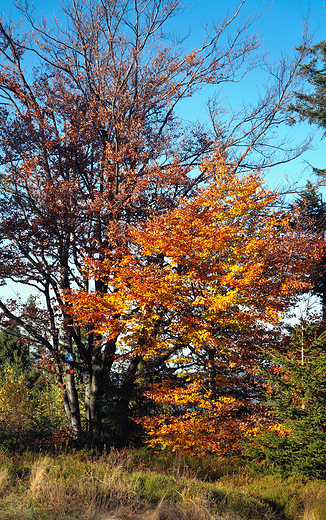 Beskid May jesieni.