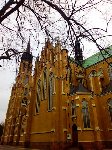 Katedra Opieki NMP w Radomiu