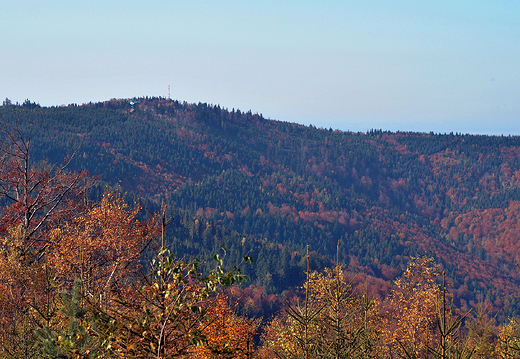 Beskid May. Widok na Magurk Wilkowick - 909m