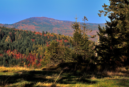 Beskid May jesieni. Widok na Hrobacz k- 828m