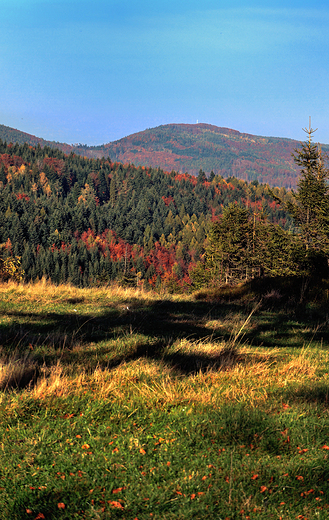 Beskid May jesieni. Widok na Hrobacz k- 828m