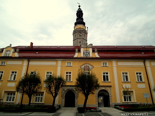 Ratusz w Bolesawcu