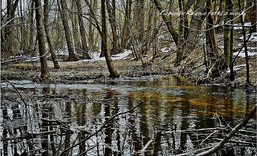 Rwnina Radomska.Okresowa Struga podczas roztopw.