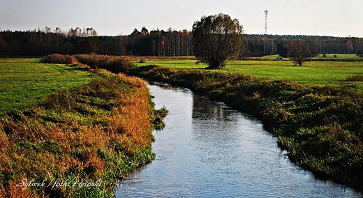 Modrzejowianka , Osuchw okolice Kazanowa