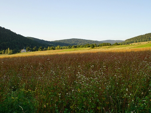 Sielsko i spokojnie.