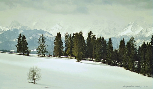 Zimowe Tatry.