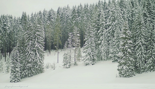 Zimowe Tatry.