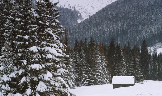 Zimowe Tatry.