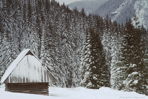 Zimowe Tatry.