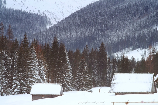 Zimowe Tatry.