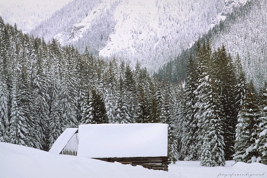 Zimowe Tatry.