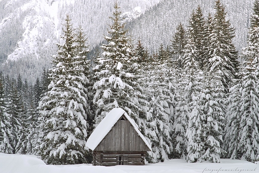 Zimowe Tatry.