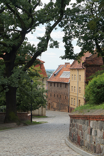 Grudzidz starwka