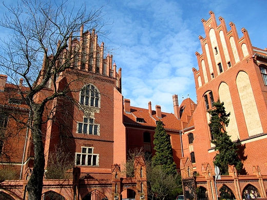 Collegium Maius