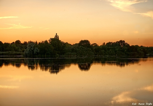 Staw Rozlany na szachtach