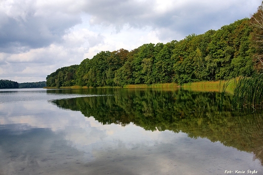 Jezioro Greckie w Wielkopolskim Parku Narodowym