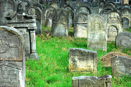 Starachowice - ydowski cmentarz