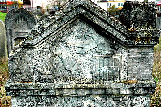 Starachowice - na cmentarzu ydowskim