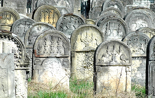Starachowice - na cmentarzu żydowskim