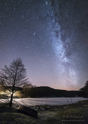 Milky Way  Turtul