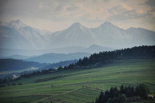 Widok na Tatry z pogranicza Pienin i Spisza. Okolice Stomowcw Wynych