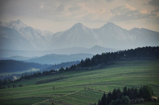 Widok na Tatry z pogranicza Pienin i Spisza. Okolice Stomowcw Wynych