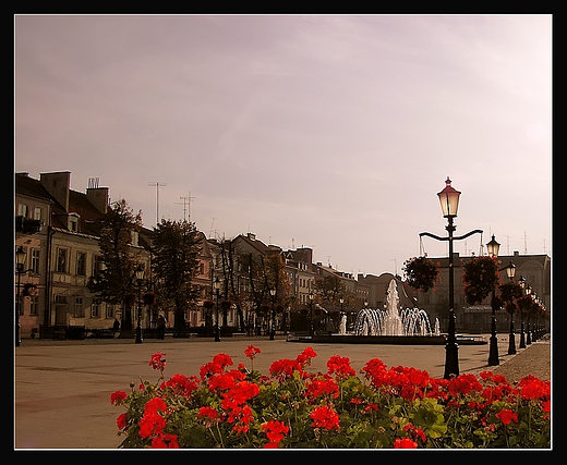 Stary Rynek w Pocku