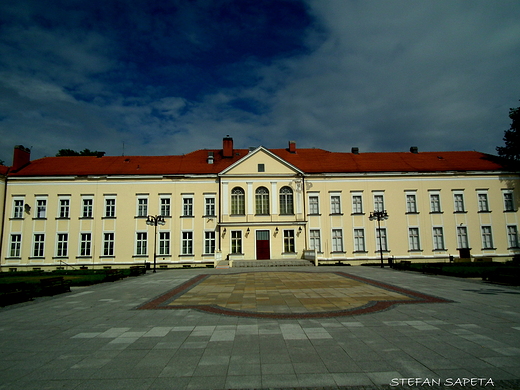 Paac rodziny von Saurma-Hoym w Brzegu Dolnym.