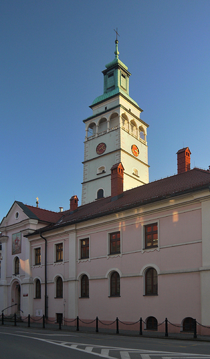 ywiec w beznieny styczniowy dzie. Budynek Biblioteki i wiea katedry.