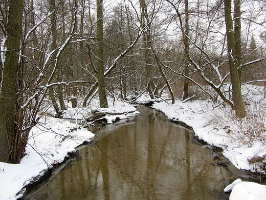 Zima nad Srebrn