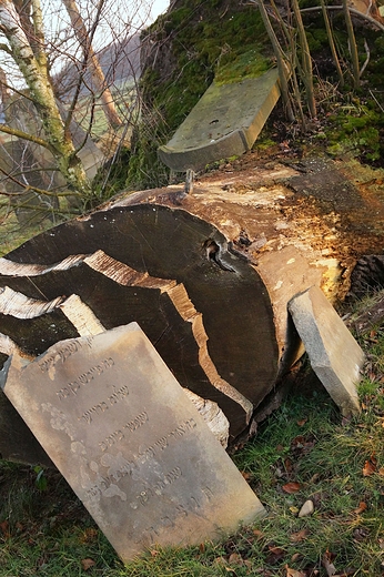 Cmentarz ydowski XIXw. w Cieszowej