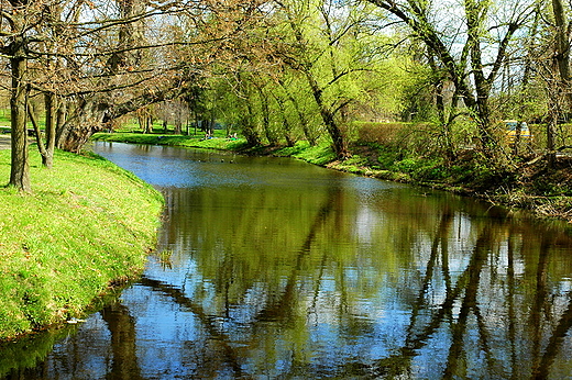 Szydowiec zamkowa fosa