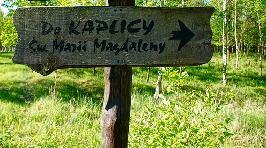 Goszyce kaplica w.Marii Magdaleny