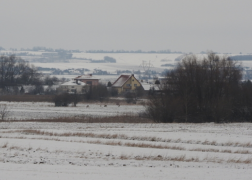 widok na Dziay Grabowieckie