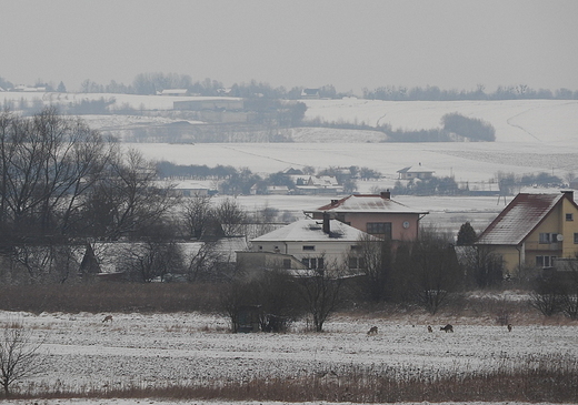 widok na Dziay Grabowieckie