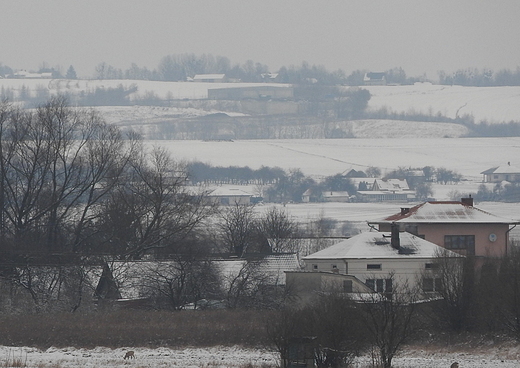 widok na Dziay Grabowieckie