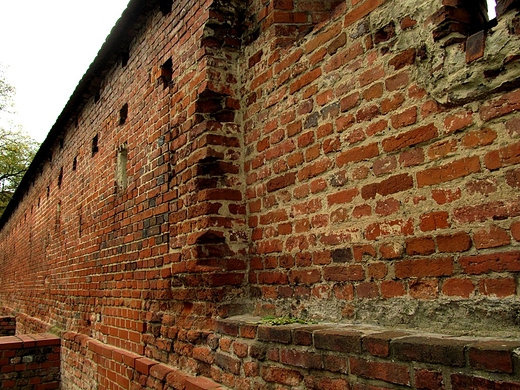 Mury na toruskiej starwce
