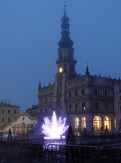 zamojski ratusz we mgle