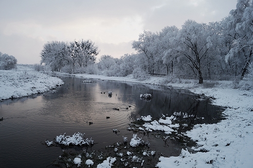 Rankiem nad Huczw