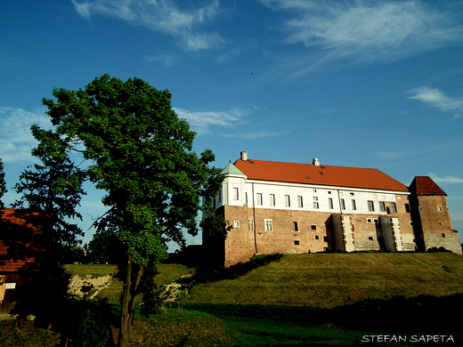 Zamek Sandomierski