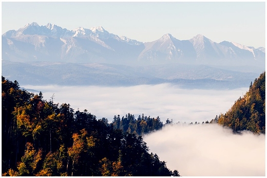 Widok z Sokolicy