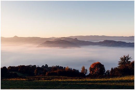 Widok z Berenika