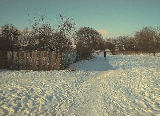 zima w Zamociu